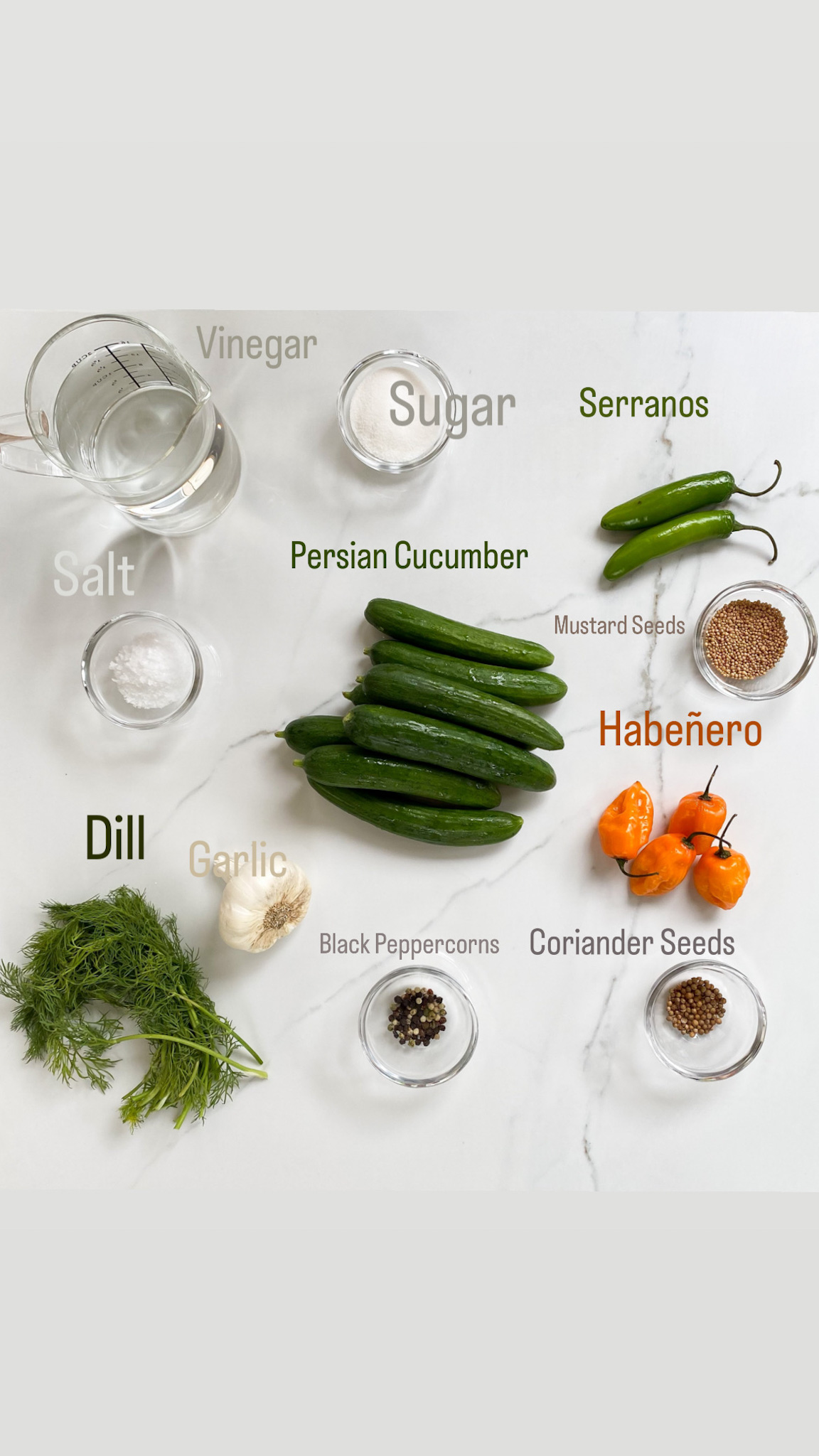 24-Hour Habanero Serrano Dill Pickles - Ingredients