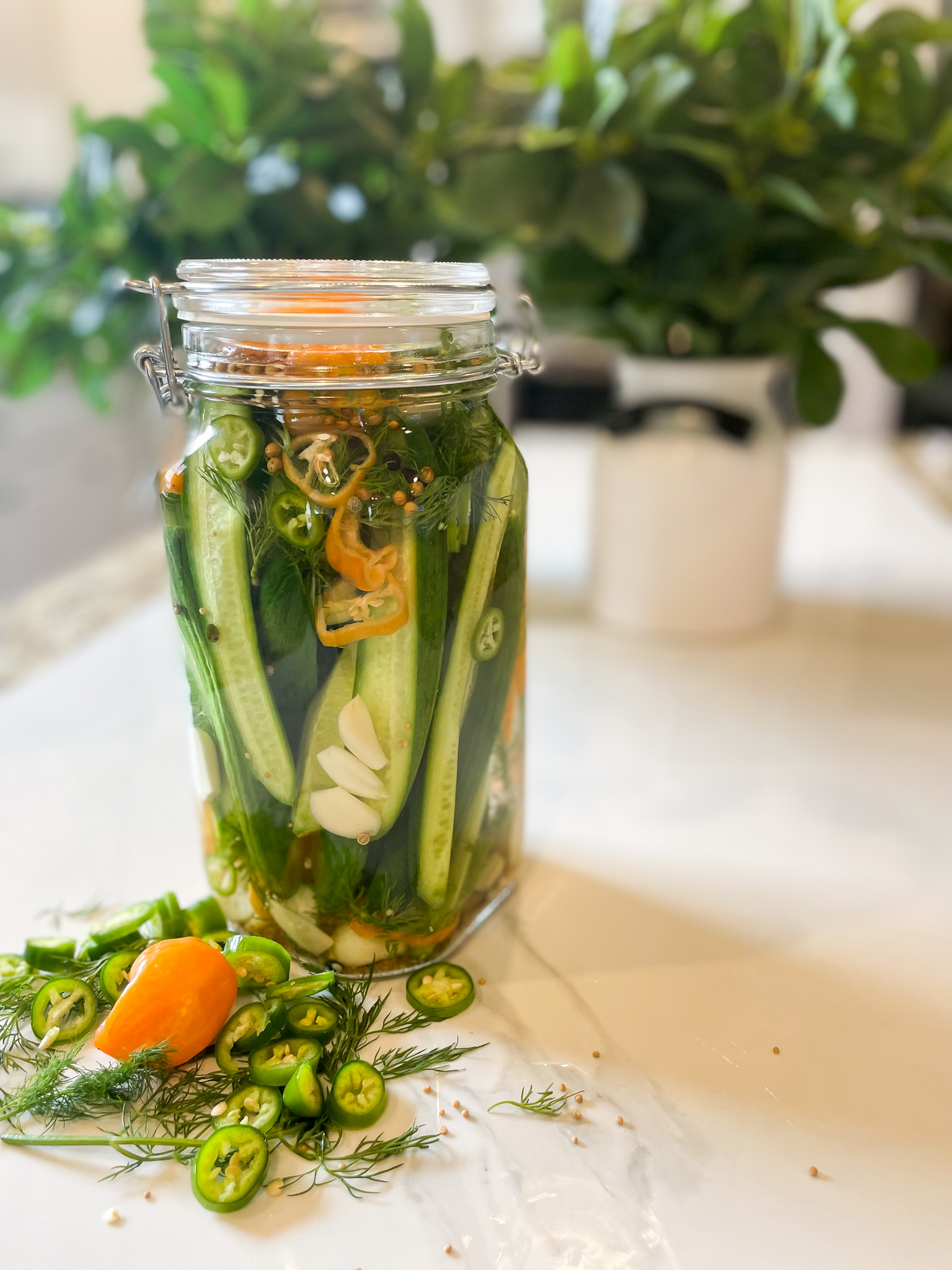 24-Hour Habanero Serrano Dill Pickles-Main-2
