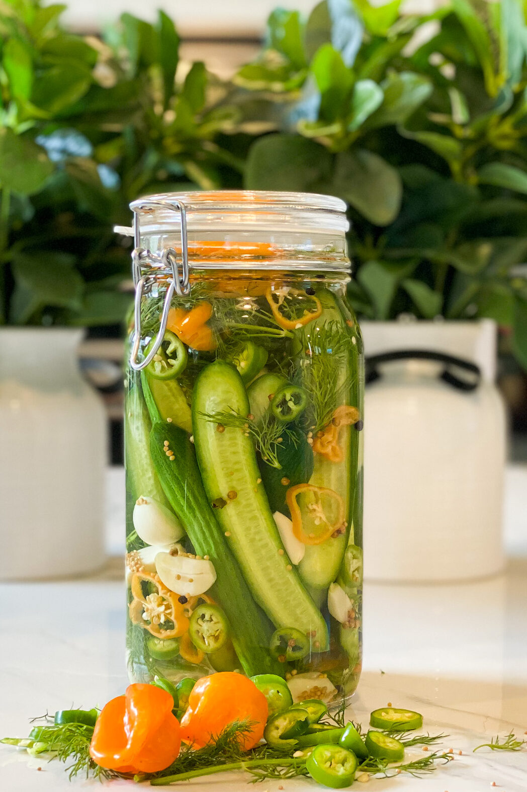 24-Hour Habanero Serrano Dill Pickles-Main