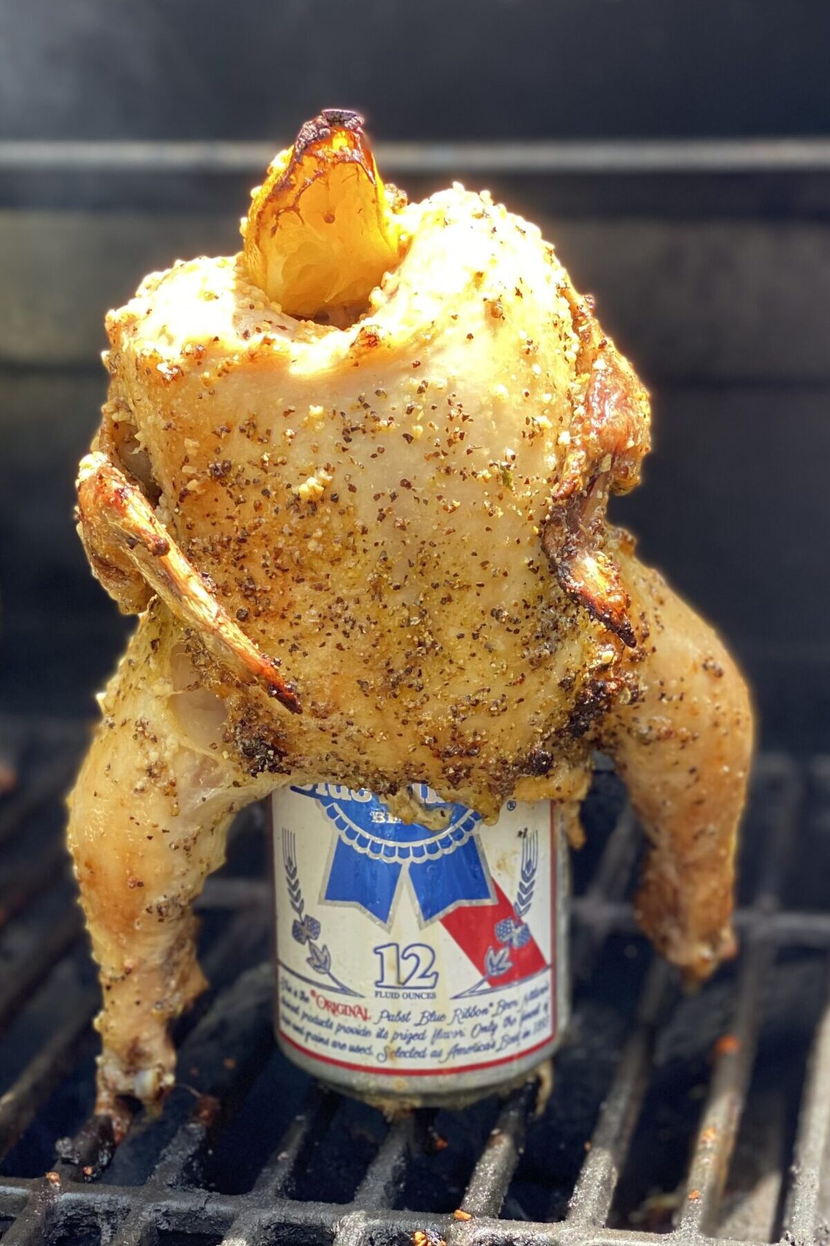 Beer Can Chicken - Set up