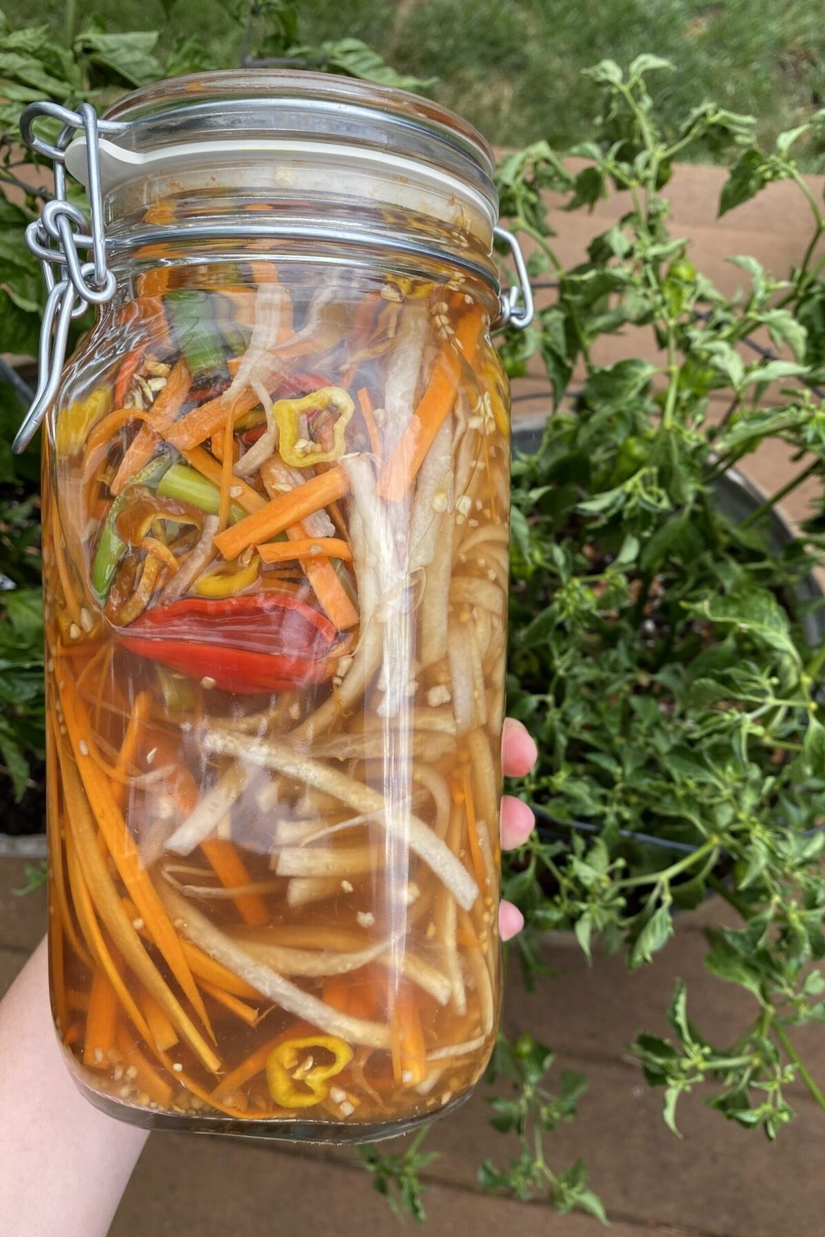 Pickled Carrots and Daikon with Tamarind - V2