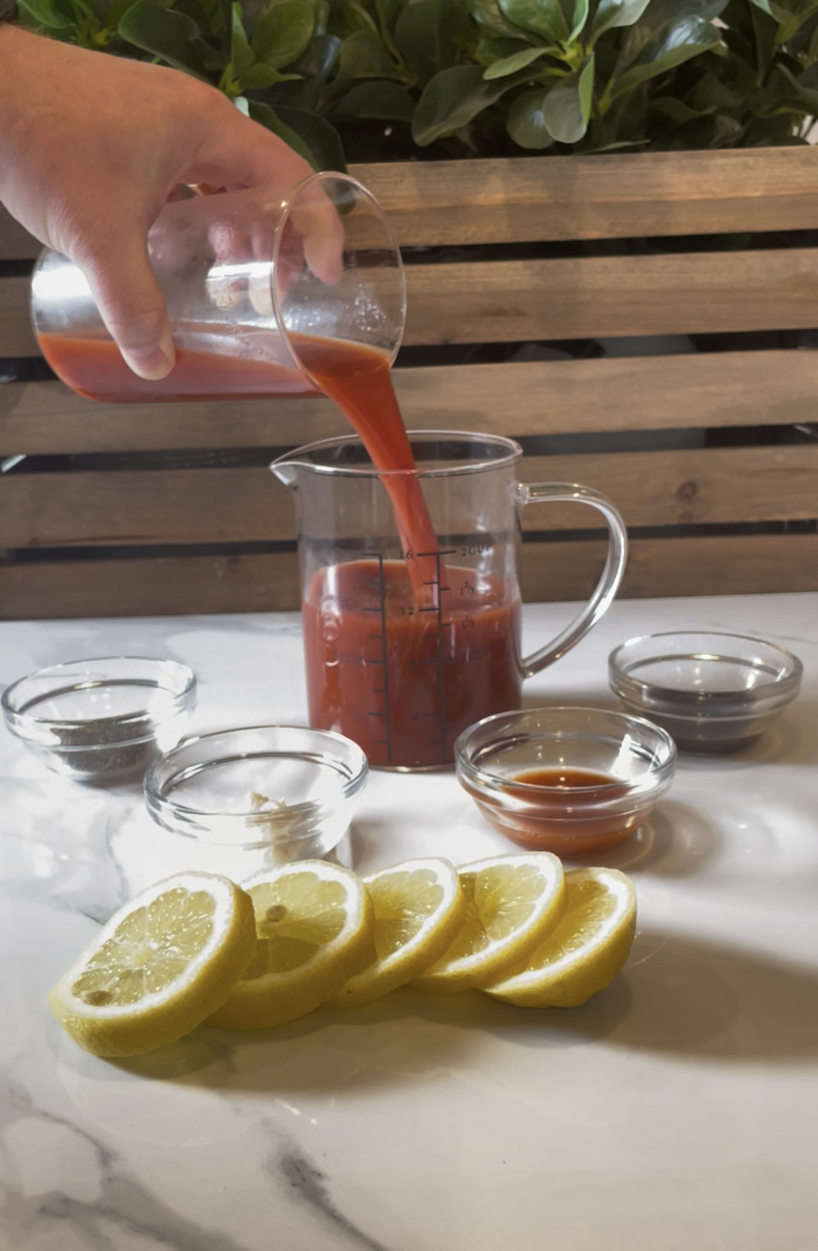 Spicy Snacking Bloody Mary - Ingredients